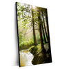 Xxl Wandbild Im Wald Hochformat Produktvorschau Seitlich