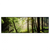 Xxl Wandbild Im Wald Panorama Produktvorschau Frontal