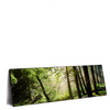 Xxl Wandbild Im Wald Panorama Produktvorschau Seitlich