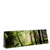Xxl Wandbild Im Wald Panorama Produktvorschau Seitlich