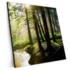 Xxl Wandbild Im Wald Quadrat Produktvorschau Seitlich