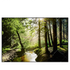 Xxl Wandbild Im Wald Querformat Produktvorschau Frontal
