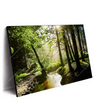 Xxl Wandbild Im Wald Querformat Produktvorschau Seitlich