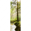 Xxl Wandbild Im Wald Schmal Motivvorschau