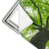 Xxl Wandbild Imposanter Baum Hochformat Materialvorschau