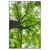 Xxl Wandbild Imposanter Baum Hochformat Produktvorschau Frontal