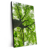 Xxl Wandbild Imposanter Baum Hochformat Produktvorschau Seitlich