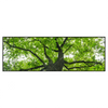 Xxl Wandbild Imposanter Baum Panorama Produktvorschau Frontal