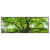 Xxl Wandbild Imposanter Baum Panorama Produktvorschau Frontal
