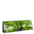 Xxl Wandbild Imposanter Baum Panorama Produktvorschau Seitlich