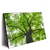 Xxl Wandbild Imposanter Baum Querformat Produktvorschau Seitlich