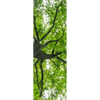 Xxl Wandbild Imposanter Baum Schmal Motivvorschau