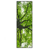 Xxl Wandbild Imposanter Baum Schmal Produktvorschau Frontal