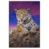 Xxl Wandbild Jaguar Auf Felsen Hochformat Produktvorschau Frontal