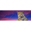 Xxl Wandbild Jaguar Auf Felsen Panorama Motivvorschau