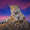 Xxl Wandbild Jaguar Auf Felsen Quadrat Motivvorschau