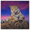 Xxl Wandbild Jaguar Auf Felsen Quadrat Produktvorschau Frontal