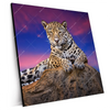 Xxl Wandbild Jaguar Auf Felsen Quadrat Produktvorschau Seitlich