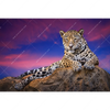 Xxl Wandbild Jaguar Auf Felsen Querformat Motivvorschau