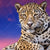 Xxl Wandbild Jaguar Auf Felsen Querformat Zoom