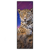 Xxl Wandbild Jaguar Auf Felsen Schmal Produktvorschau Frontal