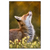 Xxl Wandbild Junger Fuchs Hochformat Produktvorschau Frontal
