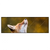 Xxl Wandbild Junger Fuchs Panorama Produktvorschau Frontal