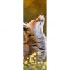Xxl Wandbild Junger Fuchs Schmal Motivvorschau