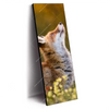 Xxl Wandbild Junger Fuchs Schmal Produktvorschau Seitlich
