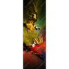 Xxl Wandbild Kampf Der Papageien Schmal Motivvorschau