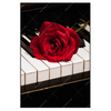 Xxl Wandbild Klavier Rose Hochformat Produktvorschau Frontal