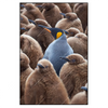 Xxl Wandbild Koenigspinguine Hochformat Produktvorschau Frontal