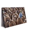 Xxl Wandbild Koenigspinguine Querformat Produktvorschau Seitlich