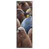 Xxl Wandbild Koenigspinguine Schmal Produktvorschau Frontal