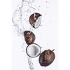 Xxl Wandbild Kokosnuesse Mit Wasserspritzer Hochformat Motivvorschau