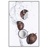Xxl Wandbild Kokosnuesse Mit Wasserspritzer Hochformat Produktvorschau Frontal