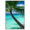 Xxl Wandbild Kokospalme Am Strand Hochformat Produktvorschau Frontal