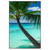 Xxl Wandbild Kokospalme Am Strand Hochformat Produktvorschau Frontal