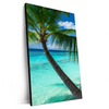 Xxl Wandbild Kokospalme Am Strand Hochformat Produktvorschau Seitlich
