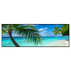 Xxl Wandbild Kokospalme Am Strand Panorama Produktvorschau Frontal