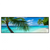 Xxl Wandbild Kokospalme Am Strand Panorama Produktvorschau Frontal