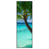 Xxl Wandbild Kokospalme Am Strand Schmal Produktvorschau Frontal