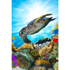 Xxl Wandbild Korallen Fische Hochformat Motivvorschau