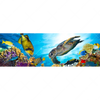 Xxl Wandbild Korallen Fische Panorama Motivvorschau