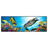 Xxl Wandbild Korallen Fische Panorama Produktvorschau Frontal