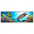Xxl Wandbild Korallen Fische Panorama Produktvorschau Frontal