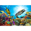Xxl Wandbild Korallen Fische Querformat Motivvorschau