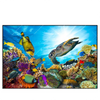 Xxl Wandbild Korallen Fische Querformat Produktvorschau Frontal
