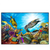 Xxl Wandbild Korallen Fische Querformat Produktvorschau Frontal