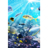 Xxl Wandbild Korallenriff Im Ozean Hochformat Motivvorschau